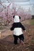 Panda Bear Costume תחפושת דב פנדה  Image 3