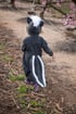 Skunk Costume  תחפושת בואש  Image 3