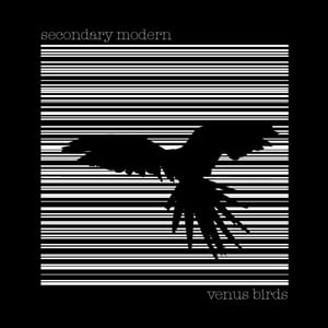 Image of Secondary Modern - Venus Birds (ep) cd/digipak [2014]
