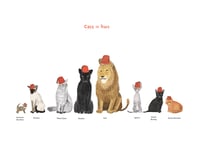 Image 2 of Cats in Hats card