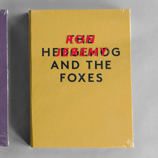 Image of The Hedgehog And The Foxes