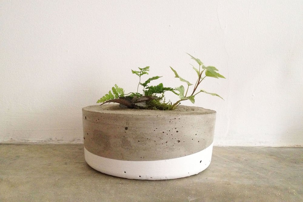 Image of dipped concrete planter