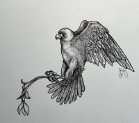 Image 2 of “Funeral Hawk”