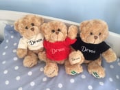 Image of The Devon Teddies are back !!