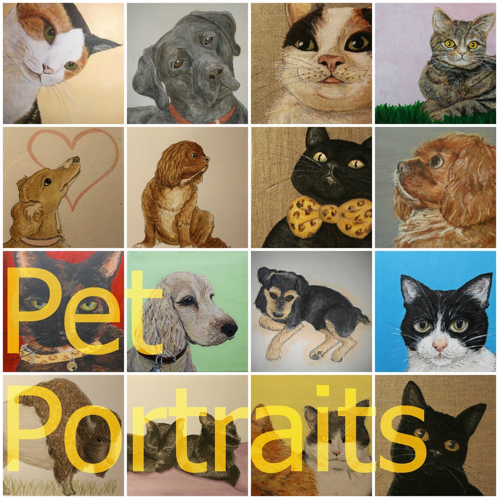 Image of Pet Portraits