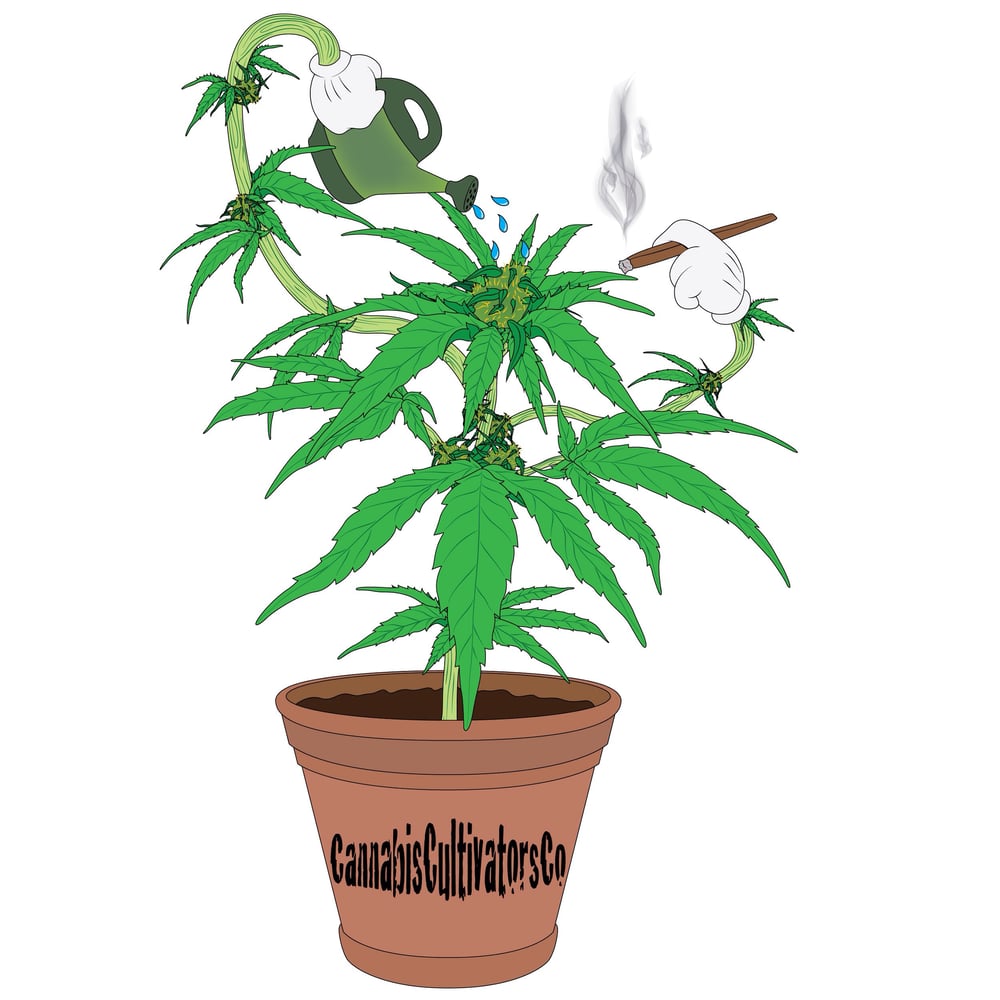 Image of Cannabis Cultivators Plant Life Sticker