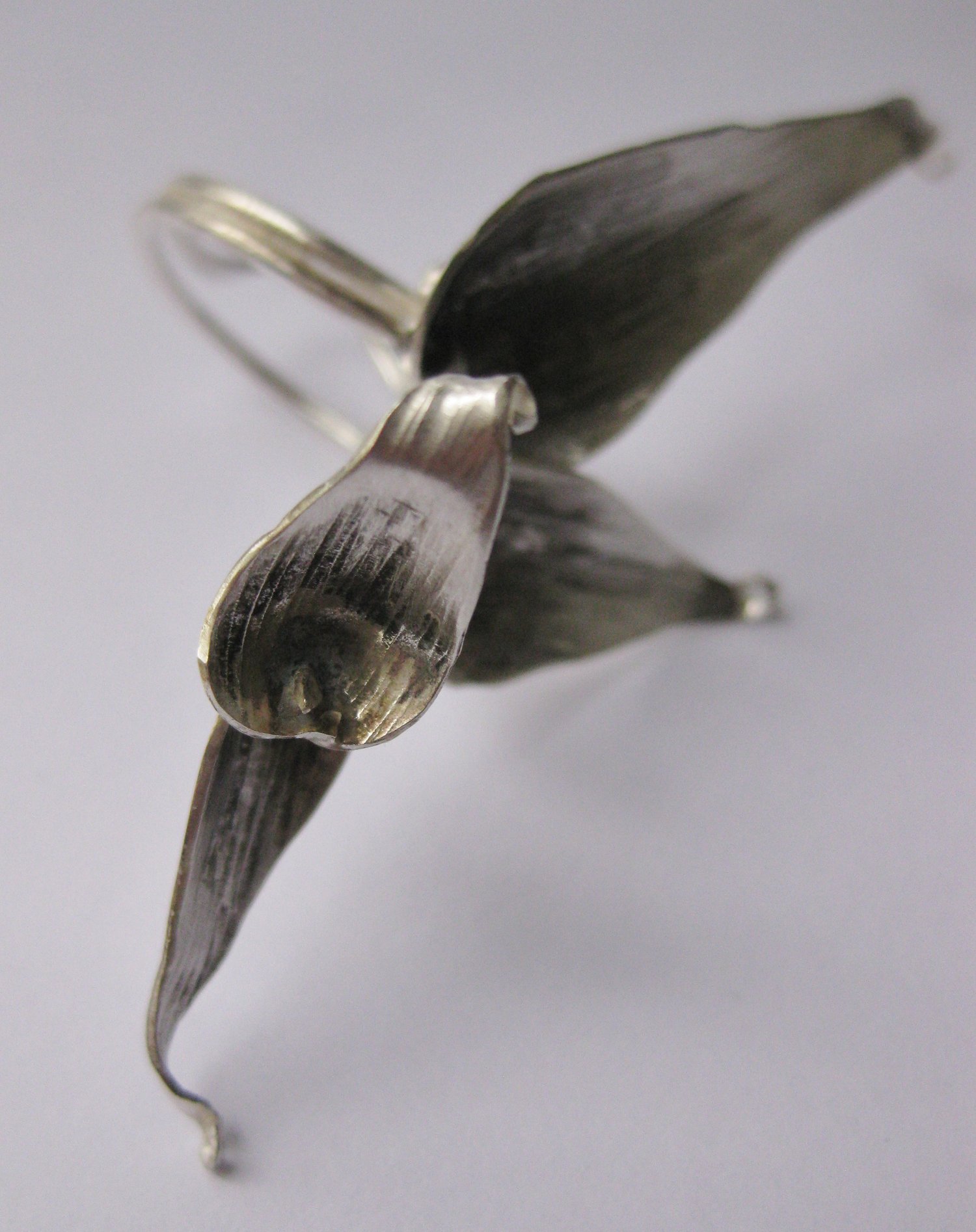 Image of Wondering Jew grass ring in forged sterling silver