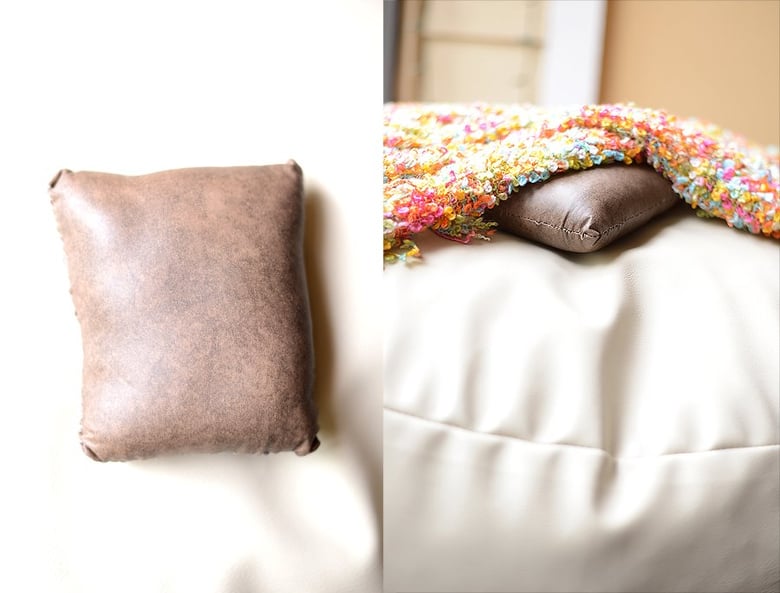 Image of Posing Pillow