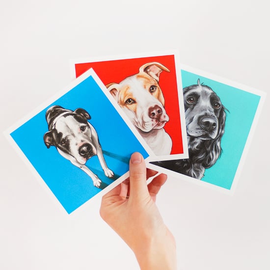 Image of PET PRINT ADD-ON