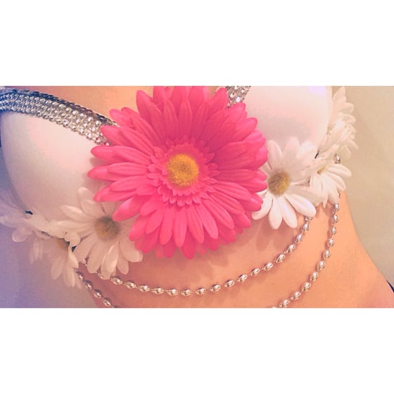 Image of Signature Plurfect Bra by Plurkit 
