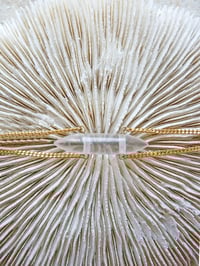 Image 2 of ▲ Bracelet Lyre ▲