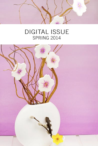 Image of Spring 2014 Digital 