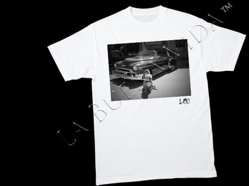 Image of LBV Cali Collective Pit Bull