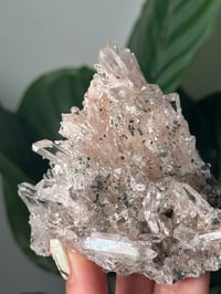 Image 2 of PINK COLOMBIAN QUARTZ WITH CHLORITE A