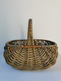 Image 1 of Welsh shopper