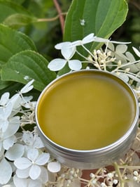 Image 2 of Wound Healer Salve