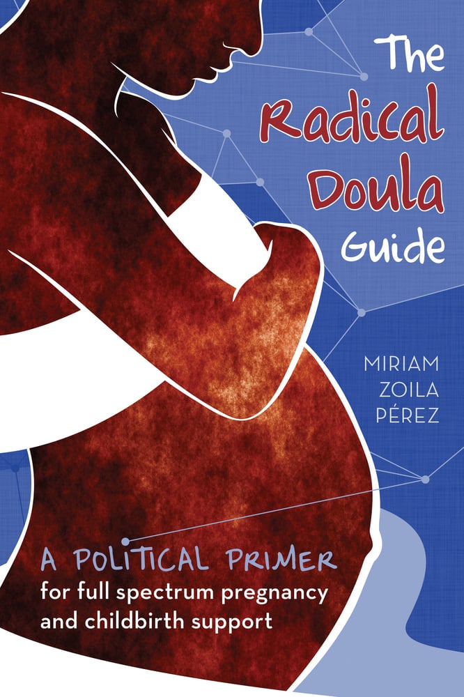 Image of The Radical Doula Guide