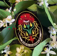 Image 1 of PRE-ORDER Bendita Vulnerabilidad 
