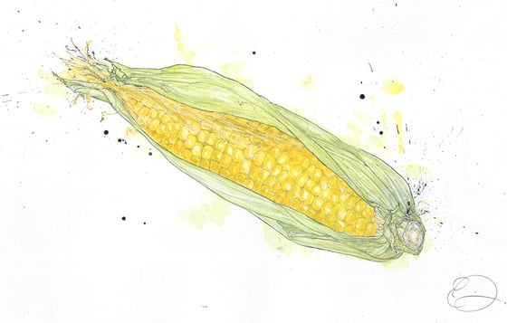 Image of Corn on the Cob