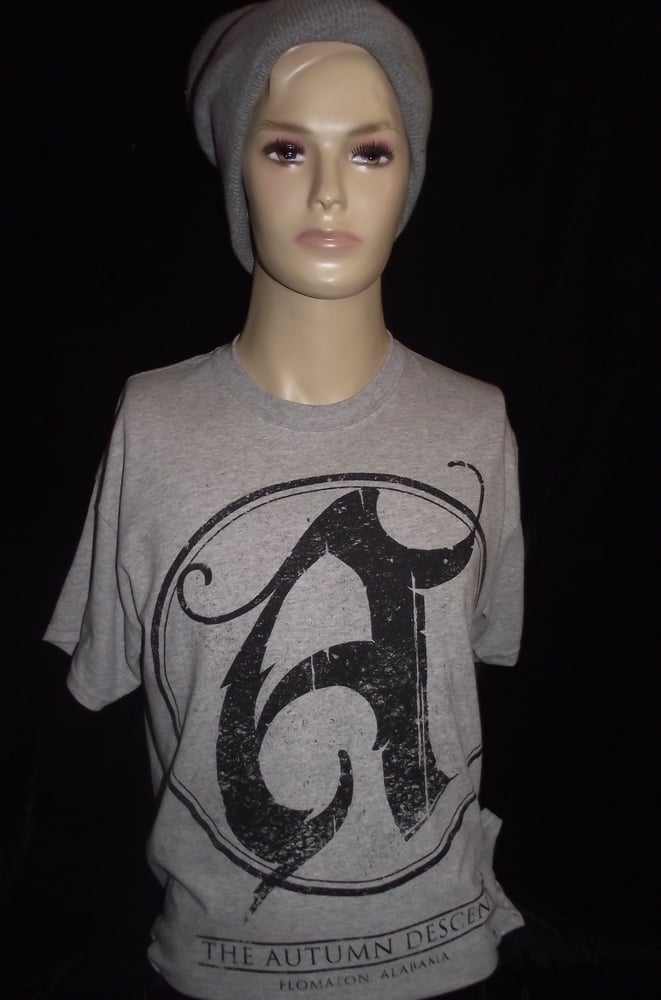 Image of Gray T-Shirt