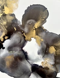 Image 3 of Wings of Ash - Shelfies 