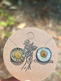 Image 3 of Little Sunshine Stud Earrings 
