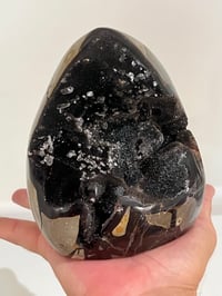 Image 9 of Septarian Nodule Polished Freeform With Calcite Inclusions| Madagascar #2899