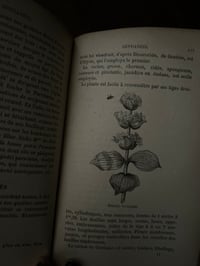 Image 8 of Plantes qui guérissent et plantes qui tuent, Olivier de Rawton, 1888!