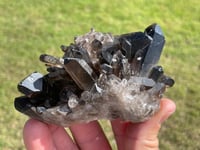 Image 2 of Smoky Quartz Crystal Points Cluster #2002