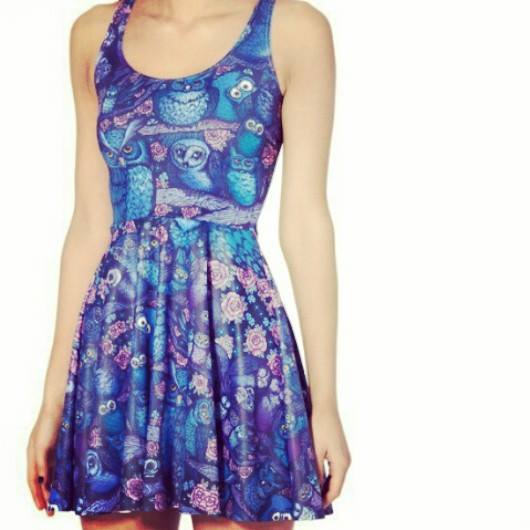 Image of Midnight Owl Reversible Skater Dress