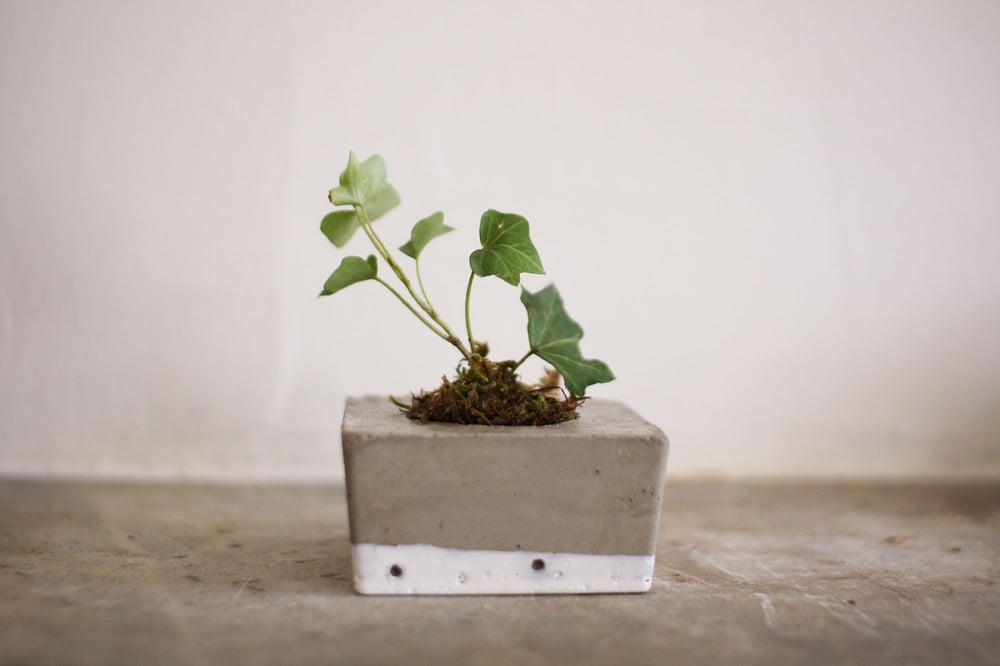 Image of tiny concrete planter