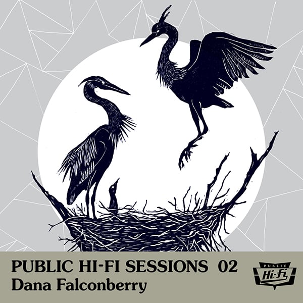 Image of Public Hi-Fi Sessions 02 - Dana Falconberry