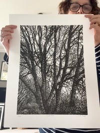 Image 4 of ‘Winter Ash’ Original Lino Print