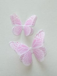 Image 2 of Monarch (Pink)