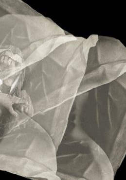 Image of Tissues & Bone — PAMPHLET