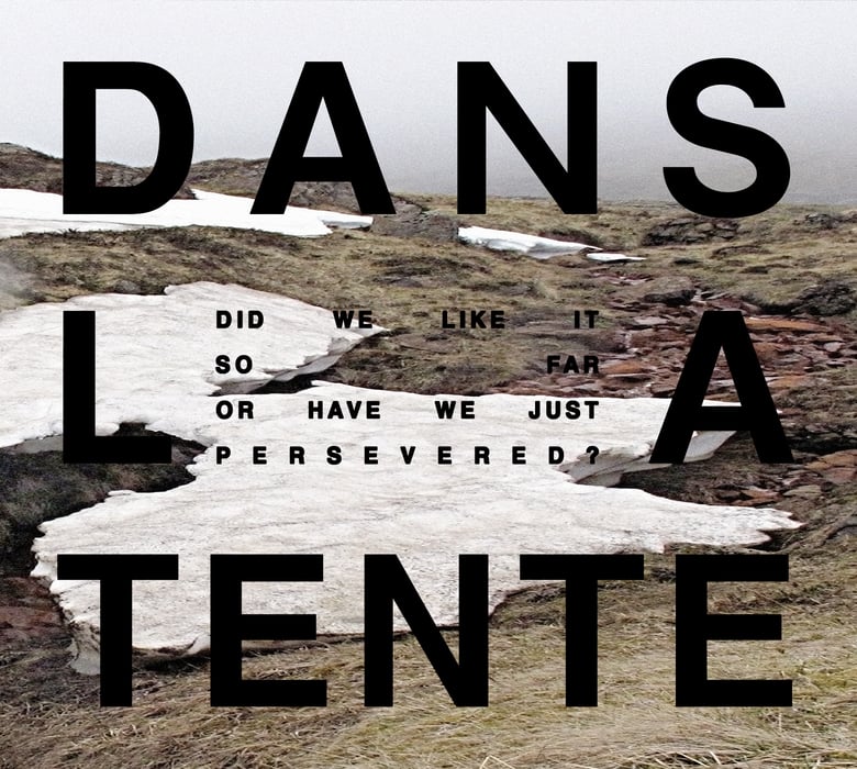 Image of DANS LA TENTE - Did We Like It So Far Or Have We Just Persevered? (LP Vinyl)