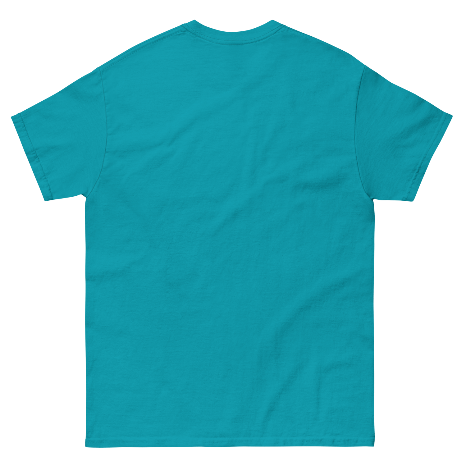 Image of Fiesta Unisex Classic Tshirt