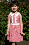 Strawberry Gingham