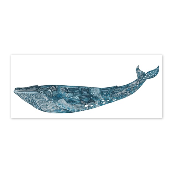 Image of Blue Whale Noah's Ark