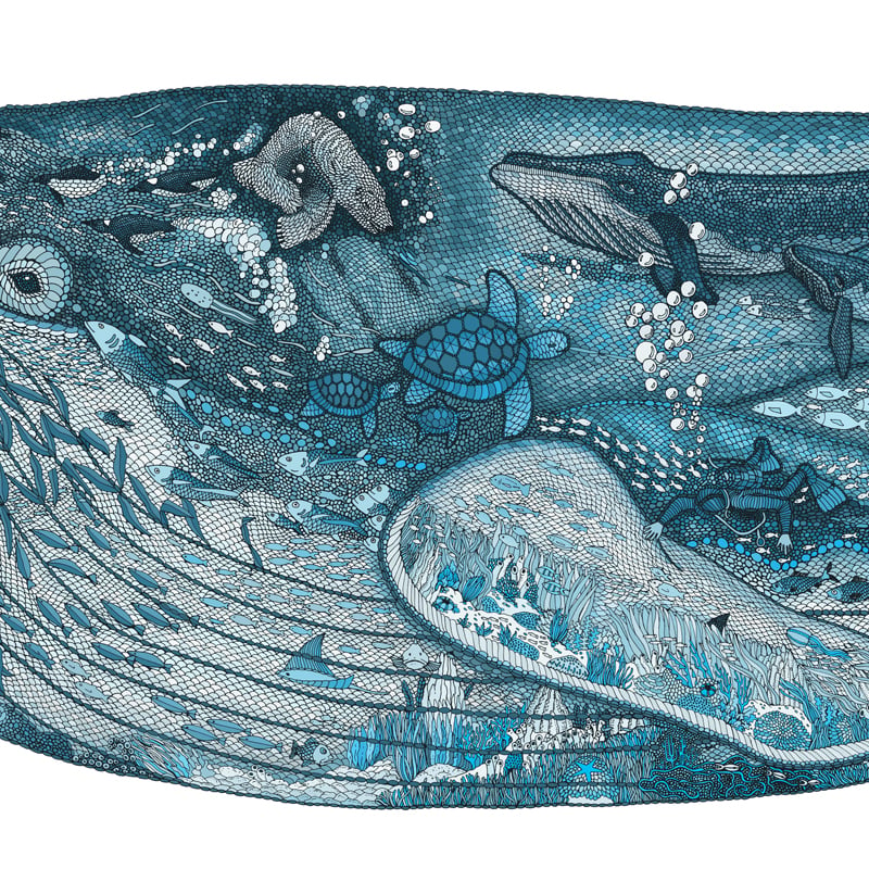 Image of Blue Whale Noah's Ark