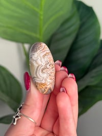 Image 3 of MEXICAN LACE AGATE SHIVA O