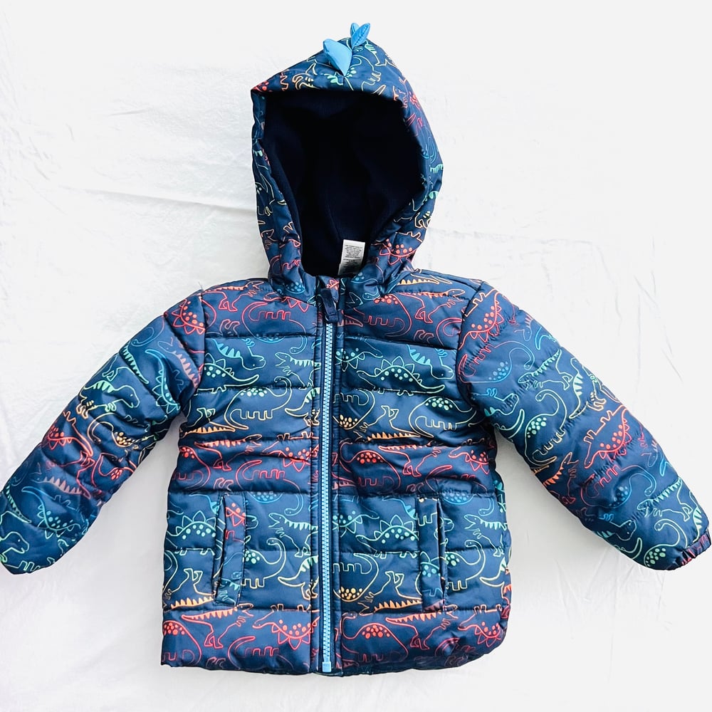 Image of DINOSAUR JACKET WITH 3D HOOD size 18M