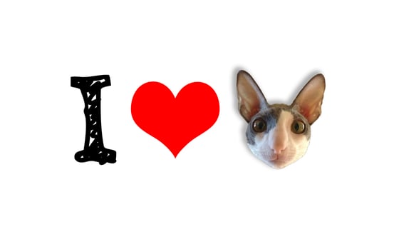 Image of "I Heart Giles" t-shirt