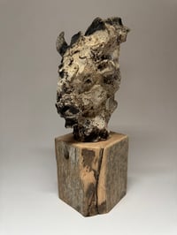 Image 5 of “Jed”