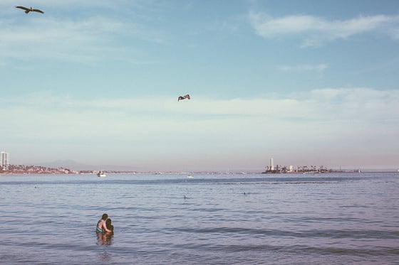 Image of LOVE AND EVERYTHING AFTER