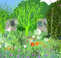 Image of Annie's Allotment
