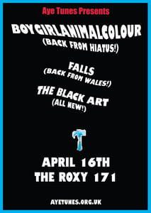 Image of Aye Tunes Presents: Boygirlanimalcolour / FALLS / The Black Art