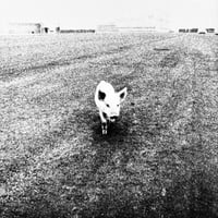 Image 5 of 74 Eyes of a Photographer: What is Japanese?