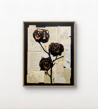 Image 1 of CASH CROP