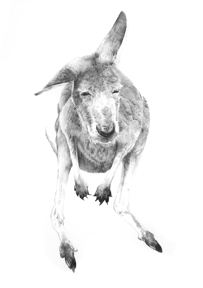 Image of 'GREY 1' Limited Edition Print